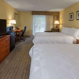 Standard Double Room Two Double Beds Area View Non Smoking